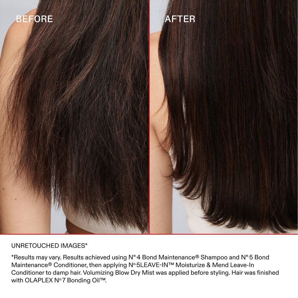Moisturize and Mend Leave-In Conditioner